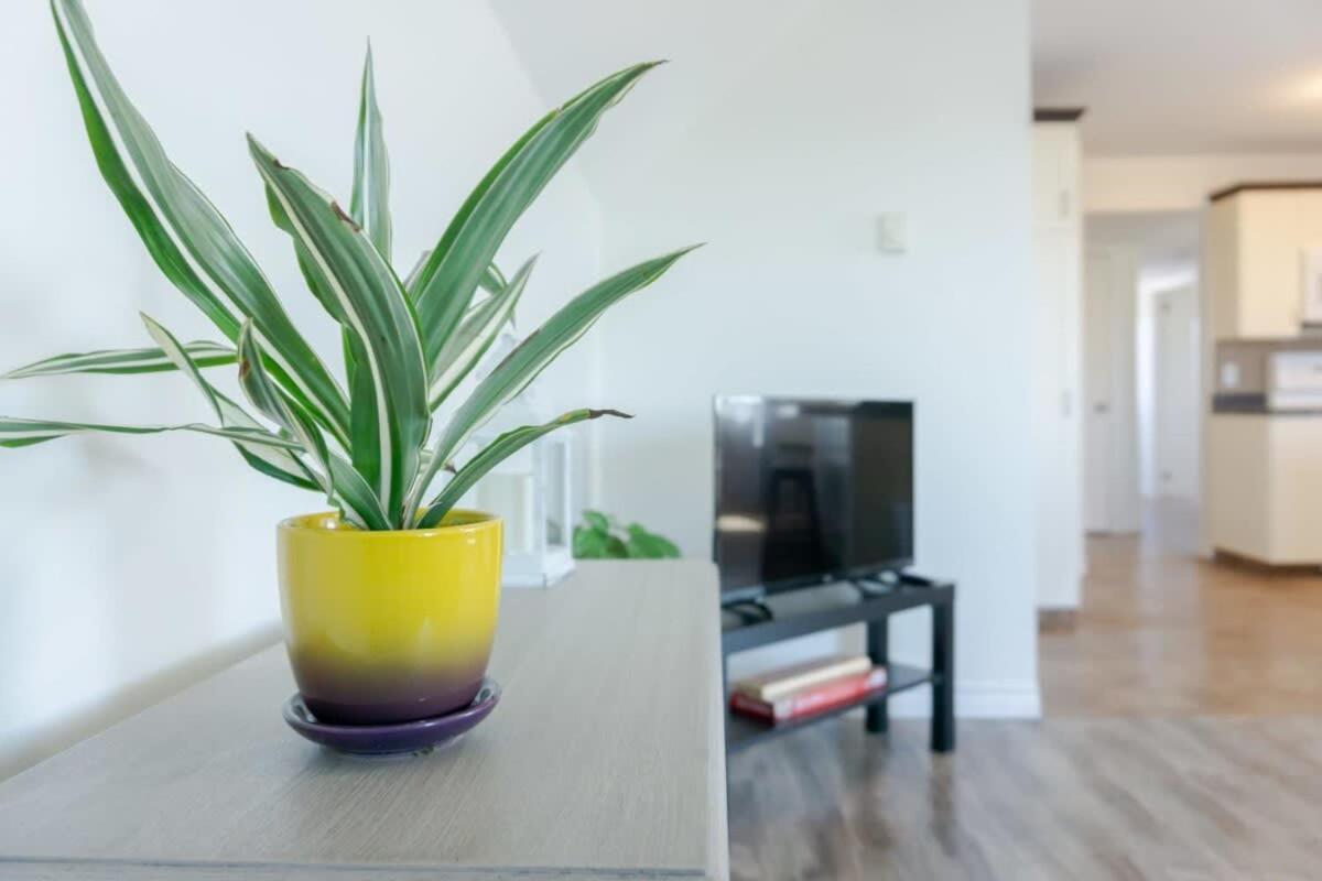 Amazing Location In Saint John 2 Bedroom Modern Parking New Exterior foto